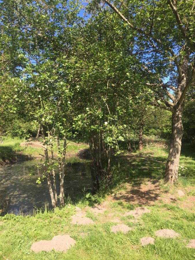 Lerbaek Naturpark Frederikshavn